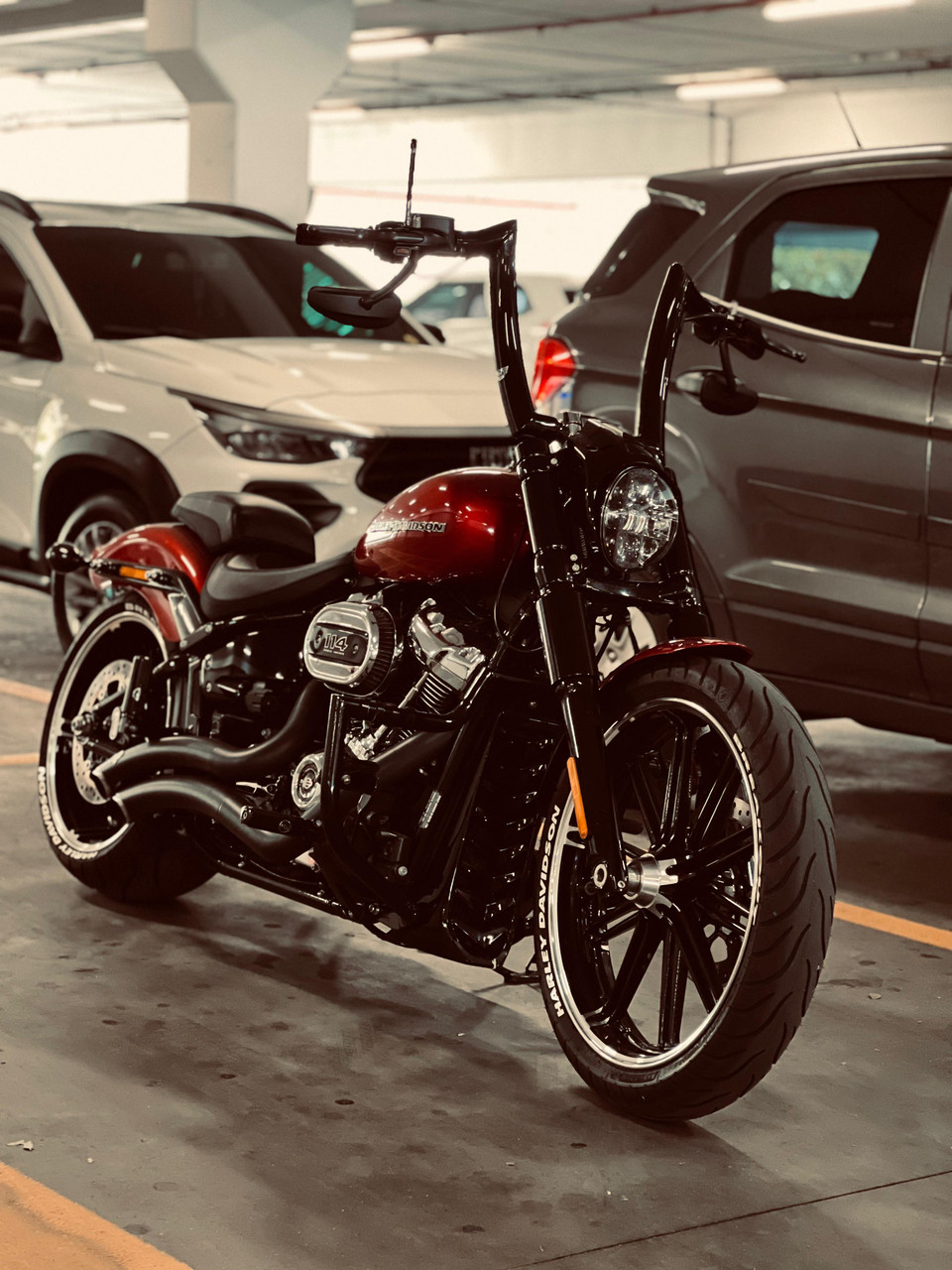 Mad Dogger Curve Rhino 2