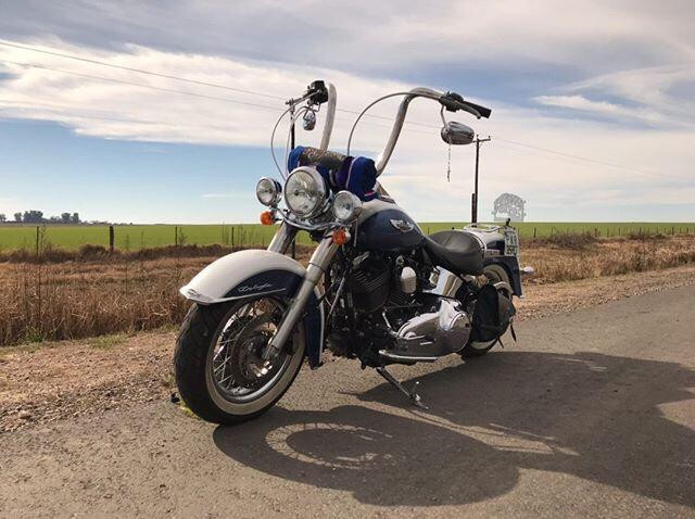 Ape Hangers Harley Davidson