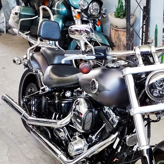 Sissy Bar King/Passenger Backrest 20" Detachable Luggage Rack for