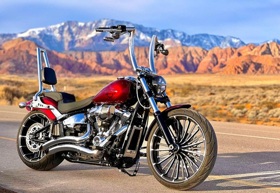 Sissy Bar Squarebone Brutale/Passenger Backrest 25" Detachable for Harley-Davidson Softail Heritage - Polished Stainless Steel