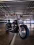 Sissy Bar King Low/Passenger Backrest 16" Detachable for Harley-Davidson Softail Fat Boy - Polished Stainless Steel