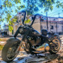 Ape Curve Rhino 2" Handlebars for Harley-Davidson Softail Low Rider - Black