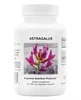 Astragalus