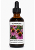 Echinacea Supreme