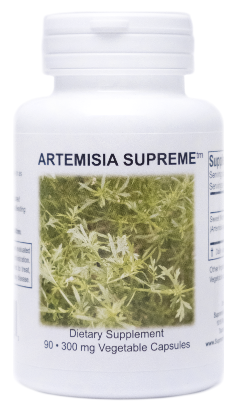 artemisia-1-on-white-1-.png