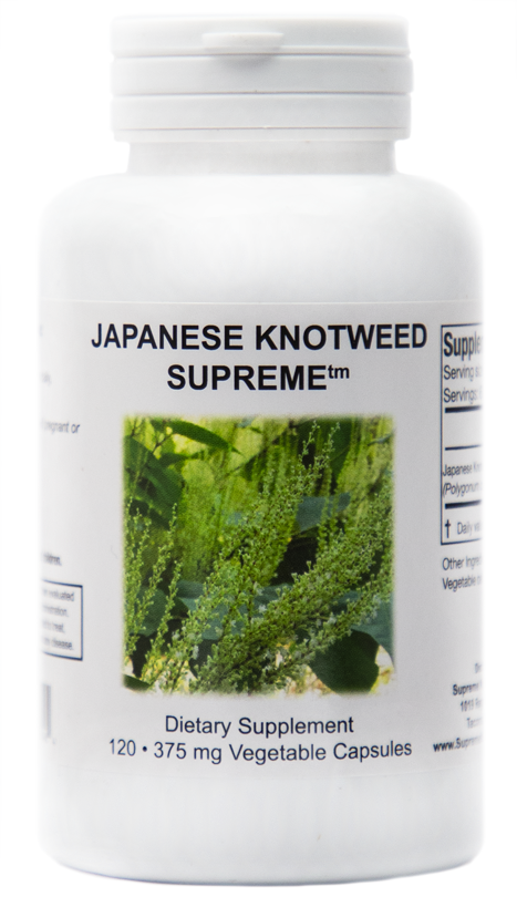 japanese-knotweed-on-white.png