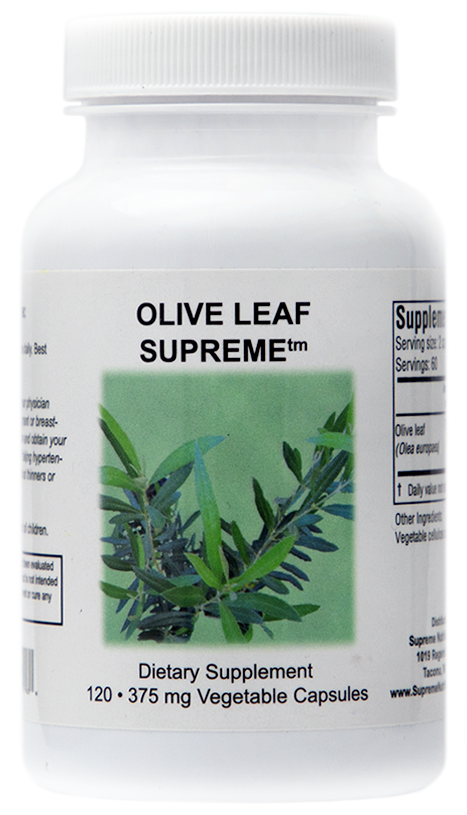 olive-leaf-on-white.png