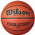 Wilson Evolution Game Ball Basketball (28.5")