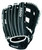 Wilson A600 FP12 Fastpitch Softball Glove 12 inch