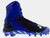 Black / Royal (041)