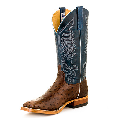 Men's Anderson Bean, Chocolate Full Quill Ostrich, Blue Top