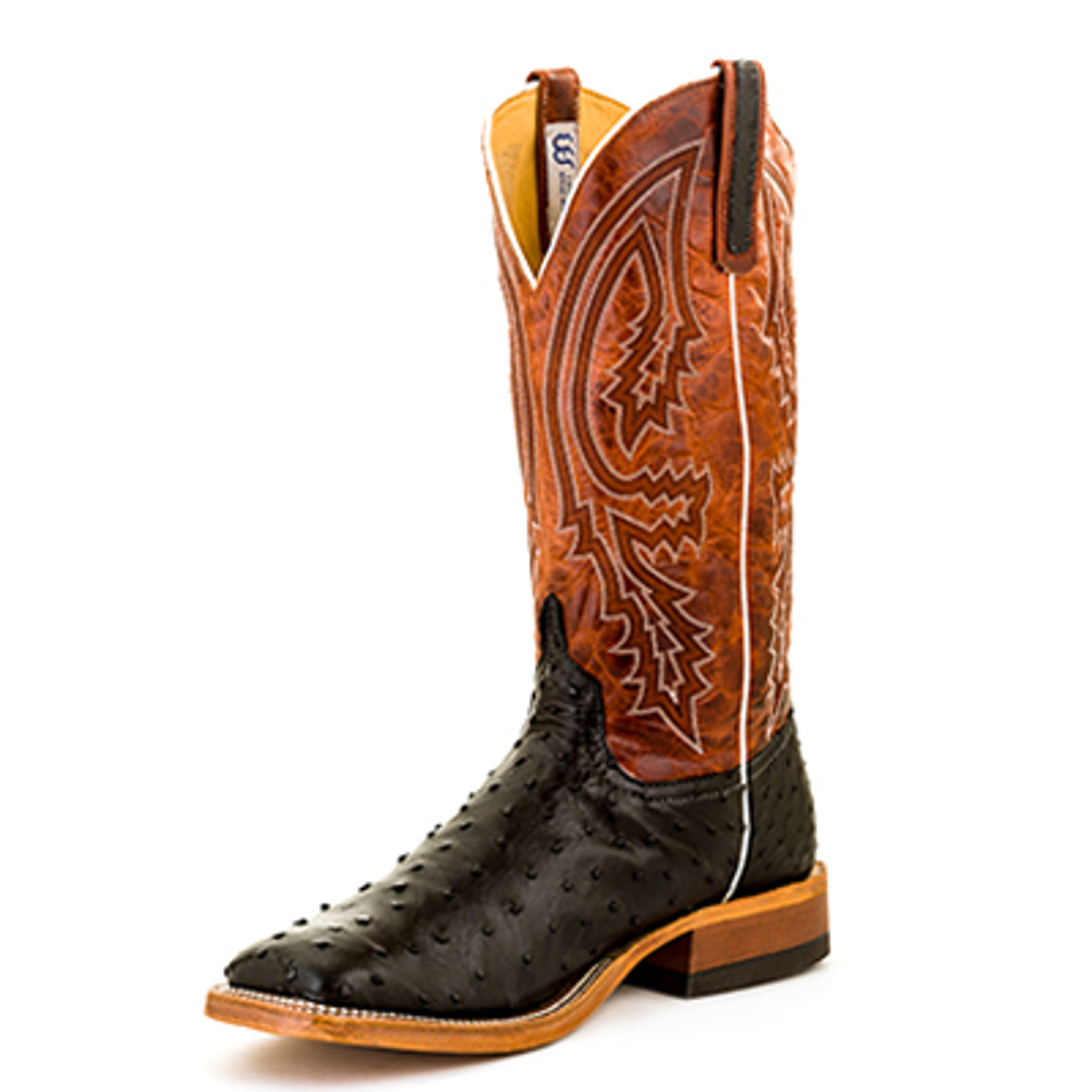 Men's Anderson Bean Boot, Black Full Quill Ostrich, Rust Top