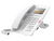 Fanvil H5 White High-End IP Phone
