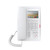 Fanvil White High-End IP Phone