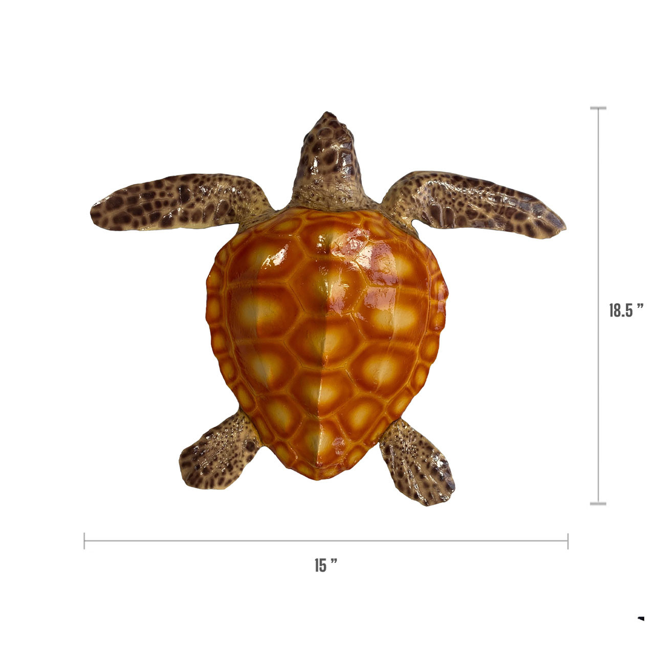 Turtle Shell Mounts Turtle Half Sided Fiberglass Fish Mount (18.5 inch) | MAKO Spearguns