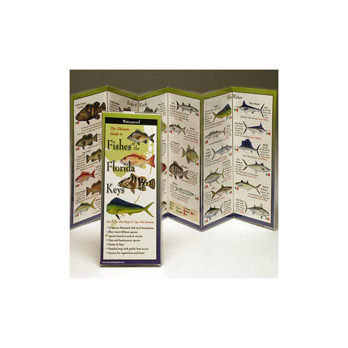 Fishes of the Florida Keys identification guide showing accordion-folded chart with colorful fish illustrations and species information