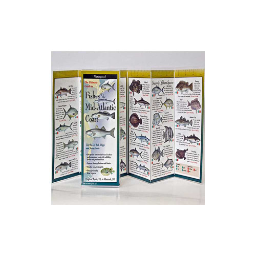 Fishes of the Mid-Atlantic Coast folding guide showing illustrated fish species with descriptions and identification details