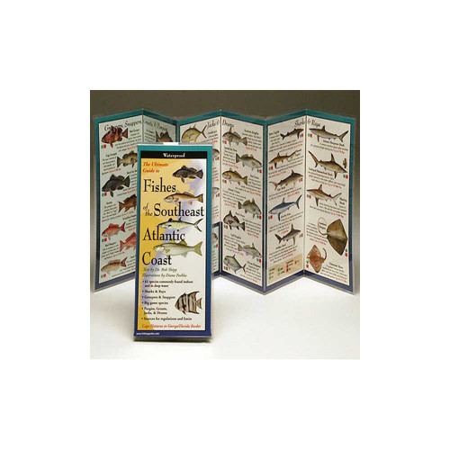 Fishes of the Southeast Atlantic Coast folding guide displayed open showing illustrated fish species and identification details
