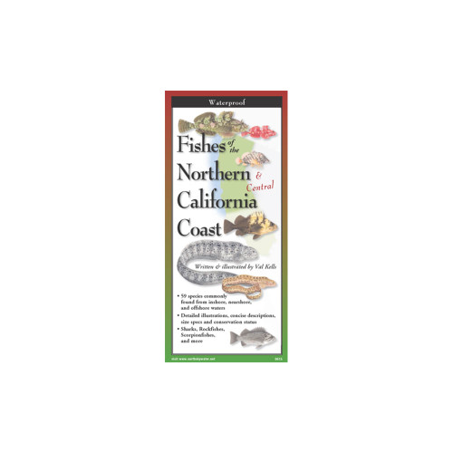 Fishes of the Northern and Central California Coast identification guide featuring illustrated fish species with red and green borders