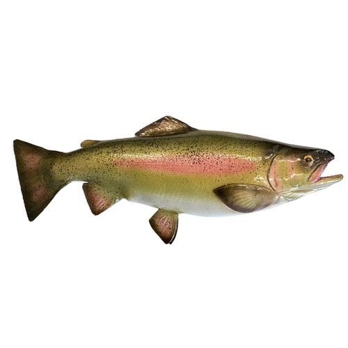 Rainbow trout half sided fiberglass mount, 24 inch, green and pink coloring on white background, side profile view