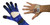Blue and black diving glove with white palm displayed flat, and tan wrist strap with metal buckle worn on wrist