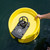 Ocean Guardian Shark Shield yellow float held over water, showing dark control module mounted on top, overhead view