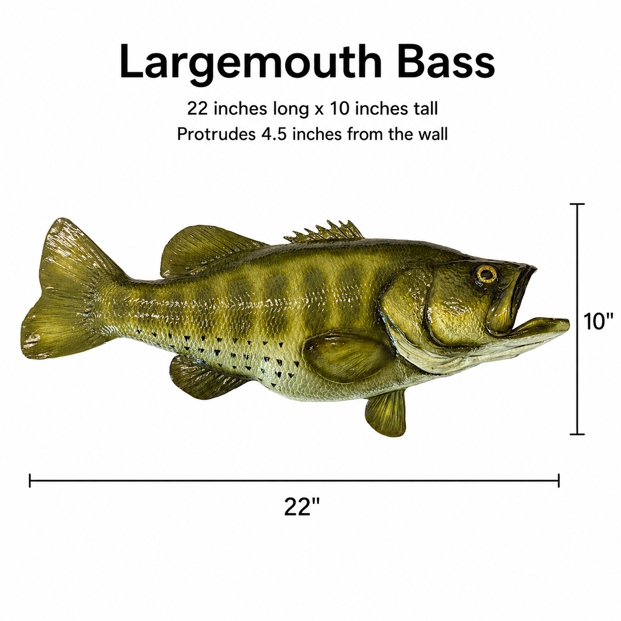 MAKO Largemouth Bass Half Sided Fiberglass Fish Mount