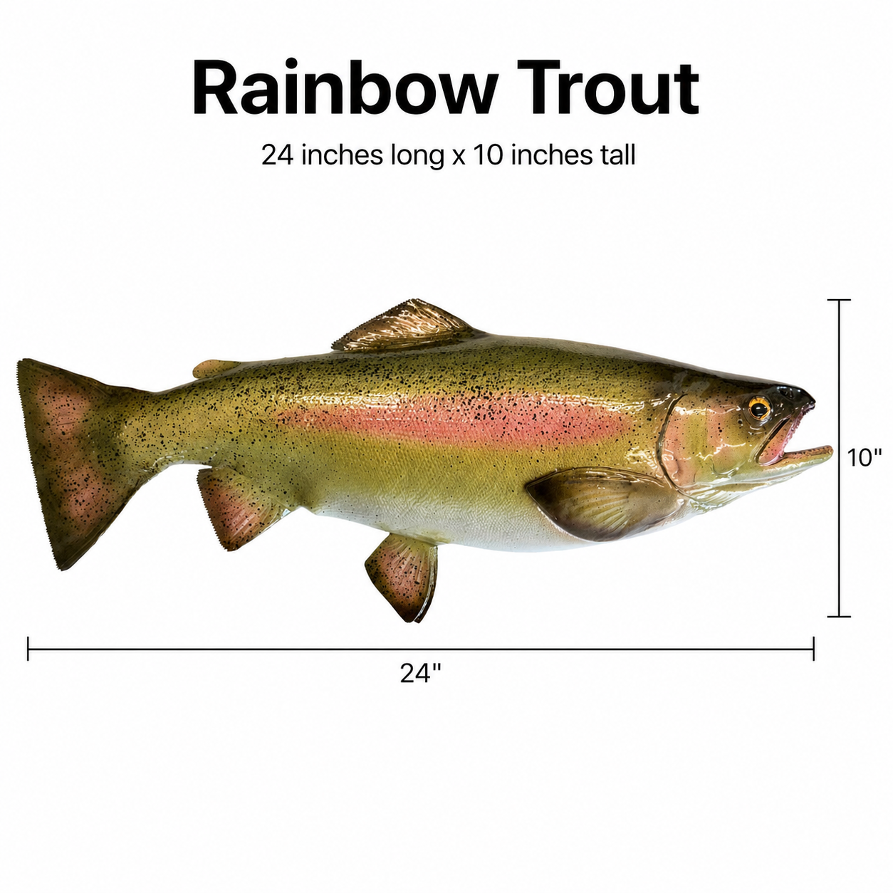 MAKO Rainbow Trout Half Sided Fiberglass Fish Mount
