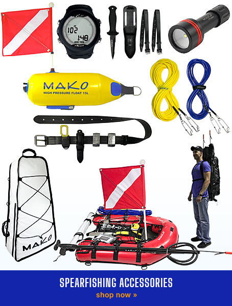 My Basic Spearfishing Gear - Guide to Spearfishing Equipment