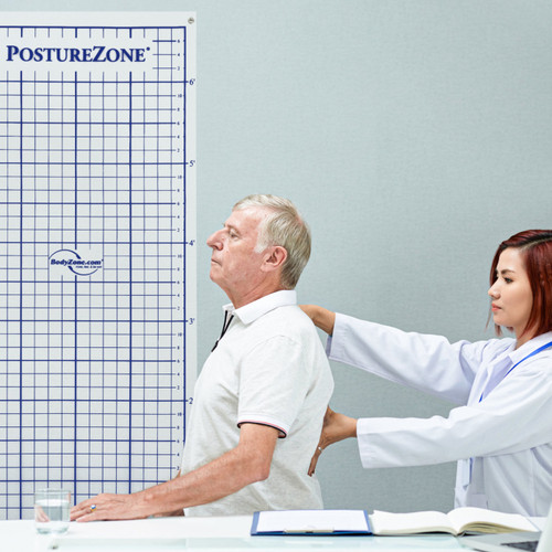 PostureZone Wall Grid: The #1 Posture Assessment Grid Worldwide PostureZone Wall Grid: The #1 Posture Assessment Grid Worldwide