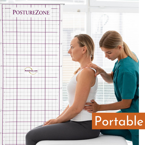 Portable posture assessment grid