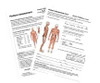 Posture Assessment Forms