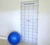 Exercise ball in therapy room