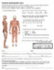 Posture Assessment Intake Form