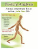 Posture Screening flyer ready to customize.