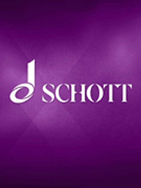Recorder Sonata in B Minor [HL:49014416]