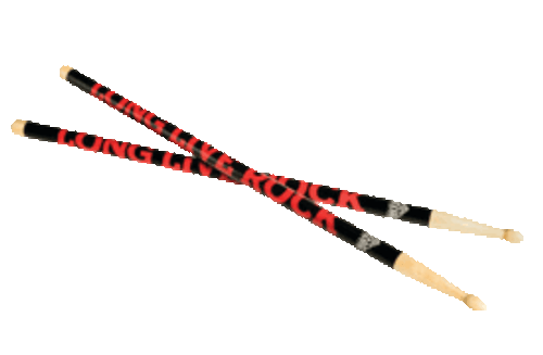 Rock and Roll Hall of Fame Drumsticks [HL:337557]