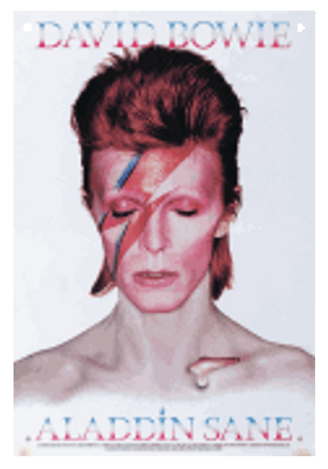 Bowie Aladdin Sane Tin Sign [HL:337693]