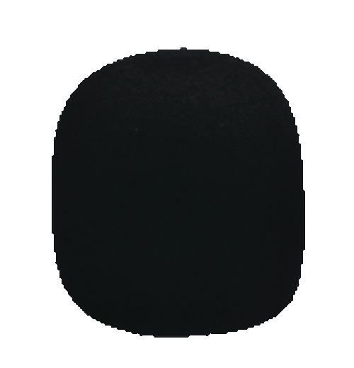WSM Windscreen [HL:366191]