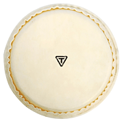 Signature Series Replacement 11 Quinto Head (calf) [HL:755395]