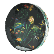Ocean Drum® with Fish Graphic [HL:3703645]
