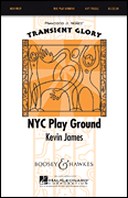 NYC Play Ground [HL:48019859]