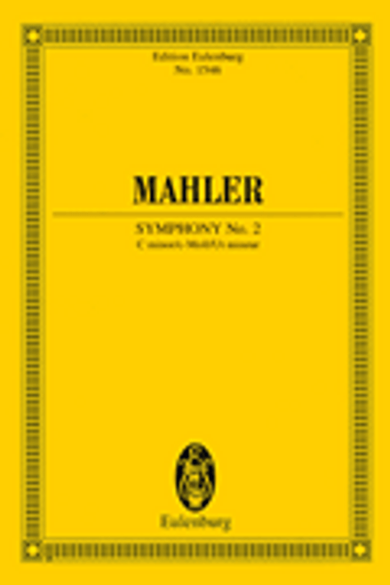 Symphony No. 2 in C Minor [HL:49045871]