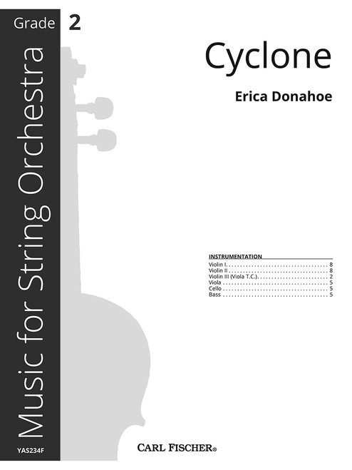 Cyclone [CF:YAS234F]