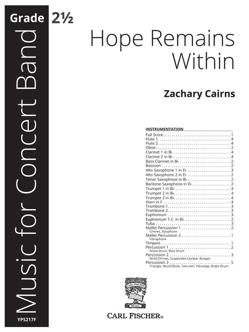 Hope Remains Within [CF:YPS217F]