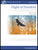 Flight of Freedom [HL:114461]