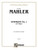 Symphony No. 1 in D Major [Alf:00-K03657]