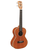 27 inch. Tenor Lacewood Ukulele [HL:254544]