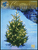 Christmas Treasures - 2nd Edition [HL:290041]
