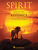 Spirit (from The Lion King 2019) [HL:303696]